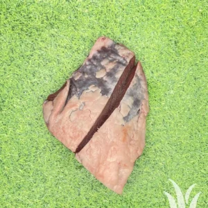 Picanha kalf