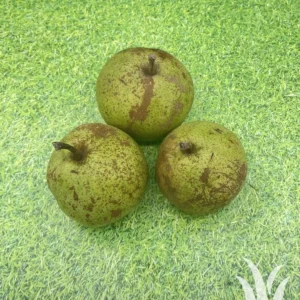 Vers fruit onbespoten stoofpeer ST. Remy