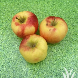 Vers fruit handappel