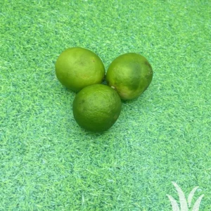 Vers fruit limoen