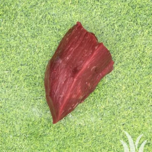 Runderrosbief