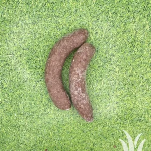 Varkenssaucijsje
