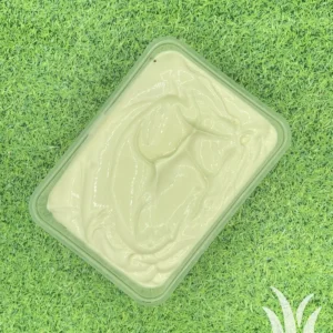 Mayonaise fris zuur (suikervrij) grote bak