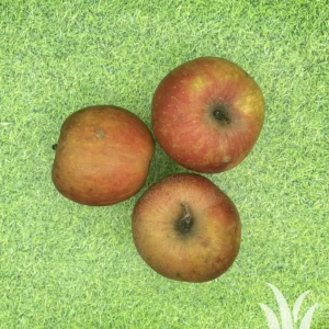 Vers fruit goudreinetten onbespoten